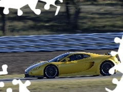 traction, Ascari A10, Properties