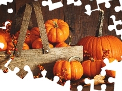 pumpkin, autumn, vegetables