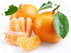 Quarters, Fruits, orange