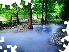 Spring, spilled, River, forest