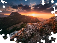 woods, Crimean Mountains, Great Sunsets, Crimea, clouds, rocks