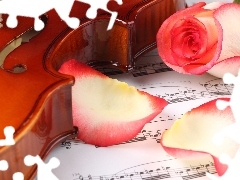 rose, violin, Tunes