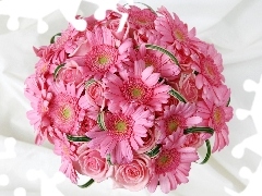 bouquet, Gerbers, rouge, pink