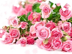 rouge, Romantic, bouquet