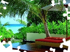 sea, deck chair, Umbrella, Palms, terrace, Pool, holiday