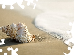 Beaches, shell