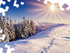 sun, Sky, snow, Christmas