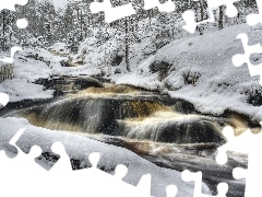 Cascades, forest, snow, winter, water, River