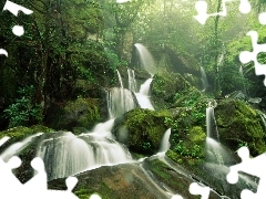 jungle, Moss, Stones, waterfall
