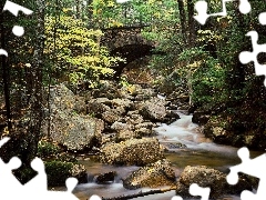 stream, Forest, Stones, ##