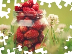 Flowers, jar, Strawberries, clover