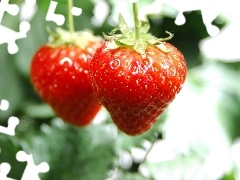 Two, strawberries