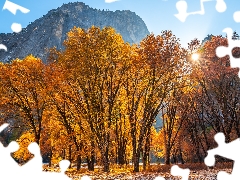 Mountains, trees, The United States, viewes, State of California, Yosemite National Park, autumn, rays of the Sun