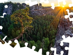 Děčínská vrchovina, rocks, rays of the Sun, pine, Sunrise, Saxon Switzerland National Park, Germany
