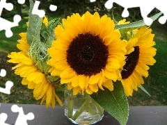 Vase, bouquet, sunflowers, glass