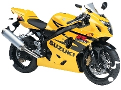 silencer, Yellow, Suzuki GSX-R600