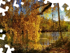 River, Swing, autumn, birch-tree