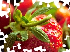 tail, Strawberry, leaves