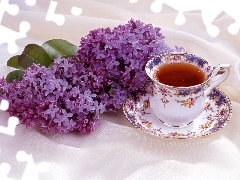 Violet, cup, tea, without