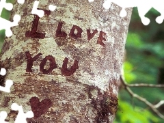 text, trees, love