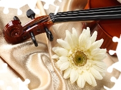 instrument, Gerber, textile, musical