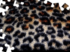 texture, Leopard, spots