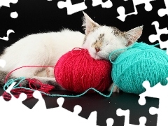sleepy, color, Threads, cat
