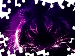 Violet, tiger