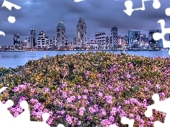 Flowers, San Diego, Town