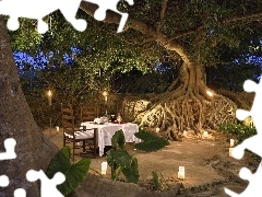 Restaurant, trees