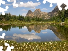 change, Mountains, trees, viewes, Flowers, lake