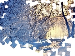 sun, Way, viewes, luminosity, Przebijaj?ce, Park, trees, winter, flash, ligh