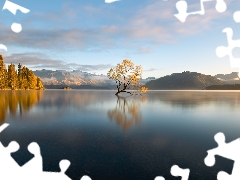 autumn, New Zeland, trees, Mountains, Wanaka Lake