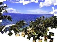 Ocean, Palms, tropic, Beaches
