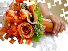 Tulips, wedded, bouquet