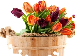 Tulips, wooden, Ceberek