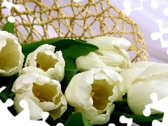 basket-work, White, Tulips, basket