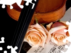 Tunes, violin, roses