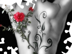 drag, back, twig, rose, Tattoo, shoulders
