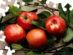 apples, Twigs
