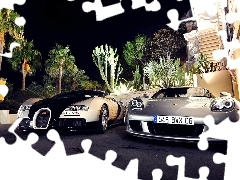 Porsche Carrera Veyron, Cactus, Two cars