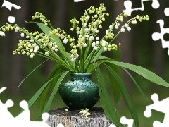 vase, small bunch, trees, viewes, trunk, Lily of the Valley