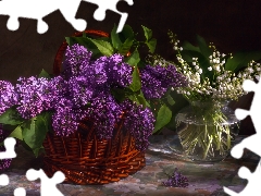 Violet, Bouquets, basket, Vase, without, lily of the Valley