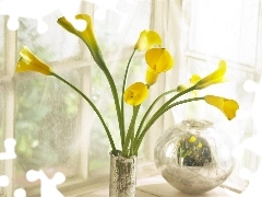 Vase, Yellow, Calla