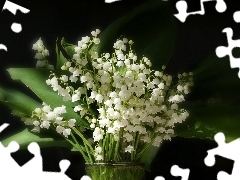 lilies, Vase