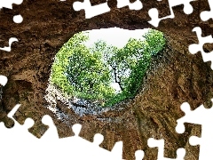 cave, trees, viewes, hole