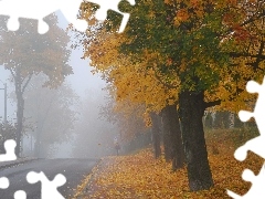 viewes, Fog, Way, trees, autumn