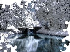 viewes, snow, River, trees, winter