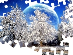 winter, trees, viewes, Planet
