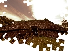 Barn, Vikings